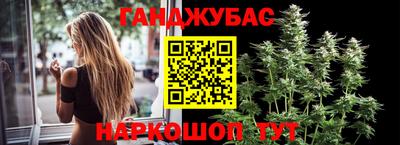прущие грибы Шебекино