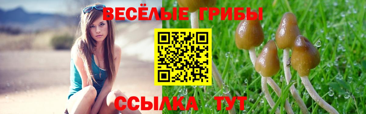 Псилоцибиновые грибы Magic Shrooms Бахчисарай