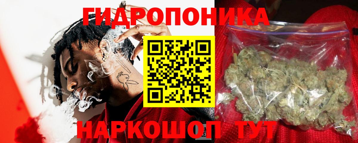 Каннабис сатива Бахчисарай